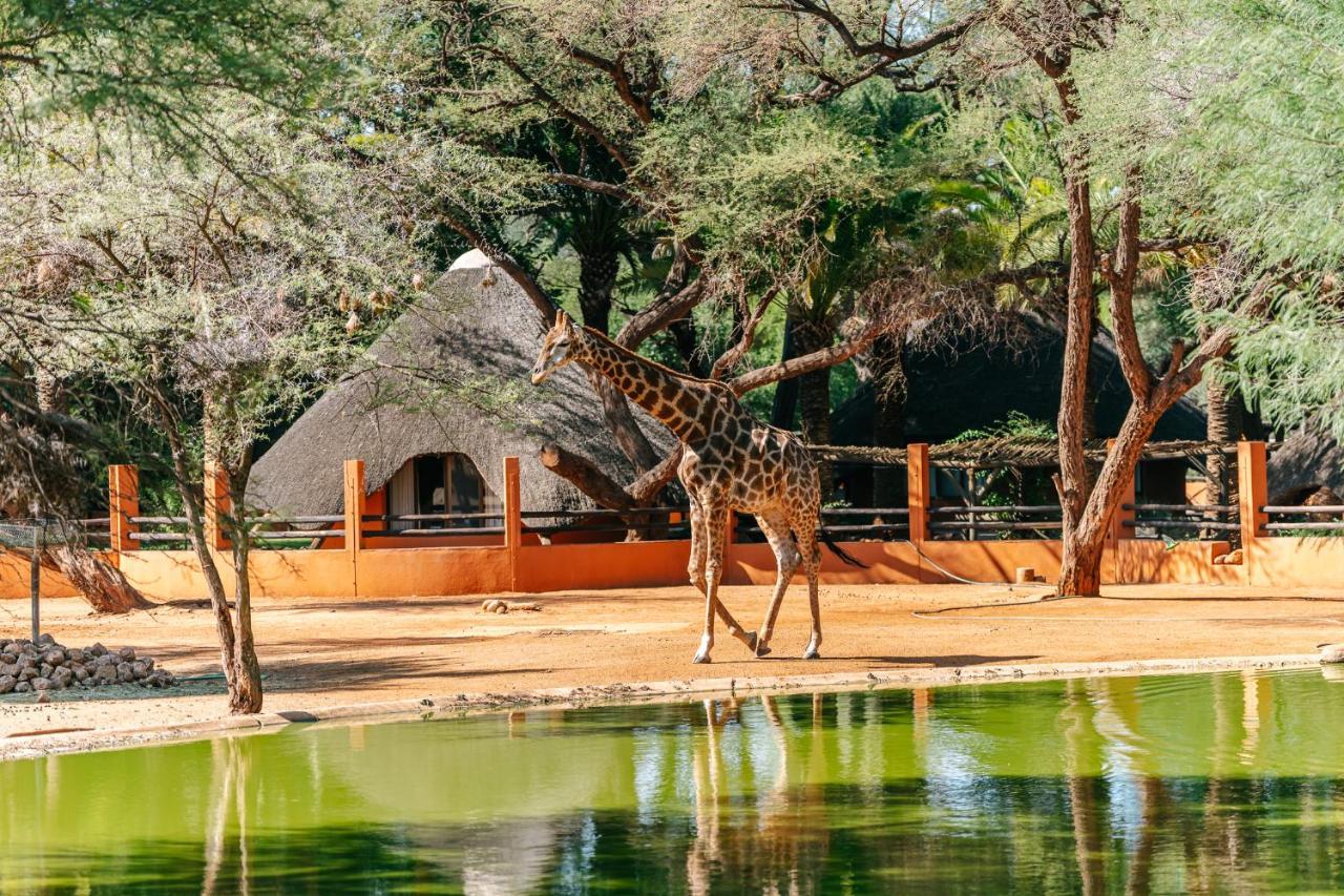 Omaruru Game Lodge Eksteriør billede