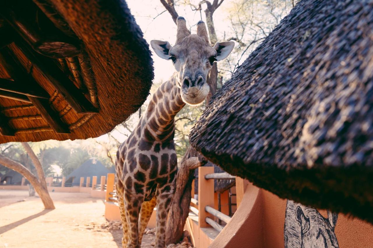Omaruru Game Lodge Eksteriør billede