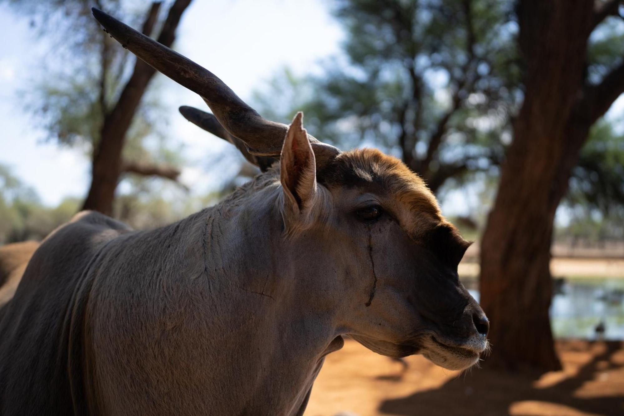 Omaruru Game Lodge Eksteriør billede