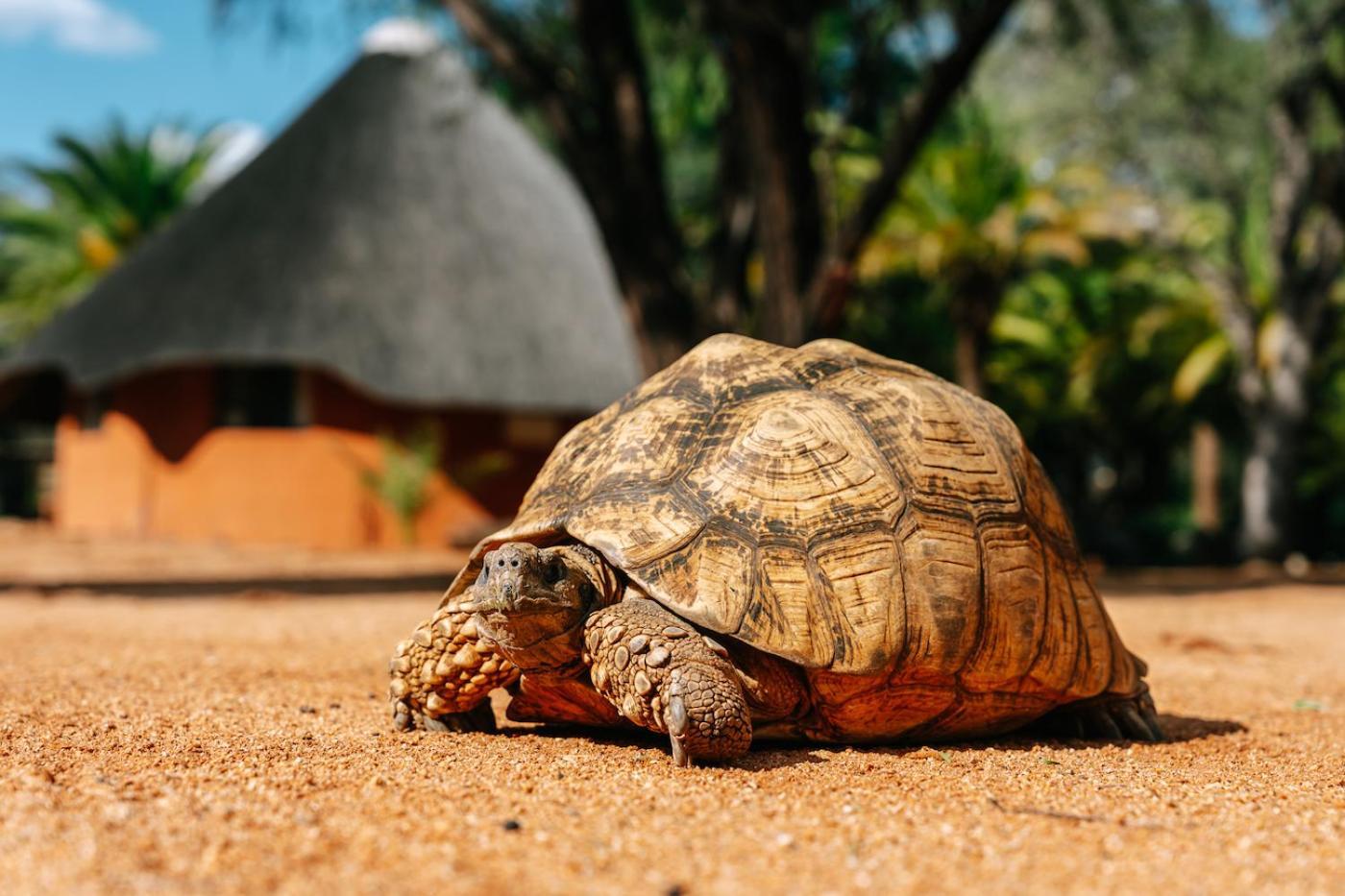 Omaruru Game Lodge Eksteriør billede